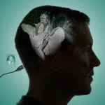 A conceptual rendering of the experiments in the study by Cerf et al. in Nature, Oct. 28, 2010. A man is shown thinking about pictures of Michael Jackson and Marilyn Monroe.