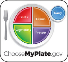 USDA Dietary Guidelines